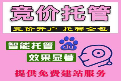 实战案例：SEM专员如何应对竞争